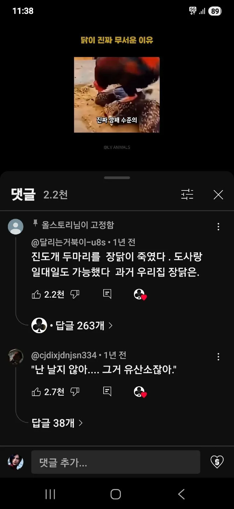 장닭